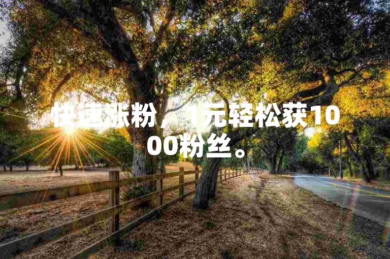 快速涨粉，1元轻松获1000粉丝。