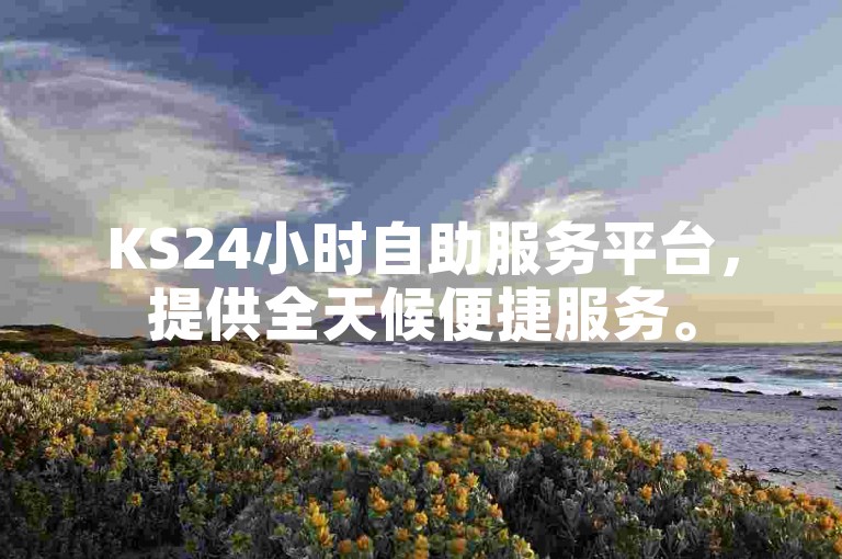 KS24小时自助服务平台，提供全天候便捷服务。