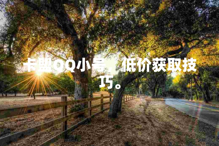 卡盟QQ小号，低价获取技巧。