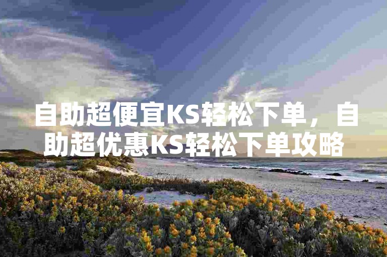 自助超便宜KS轻松下单，自助超优惠KS轻松下单攻略。