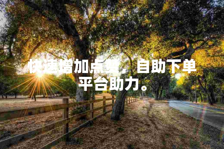 快速增加点赞，自助下单平台助力。
