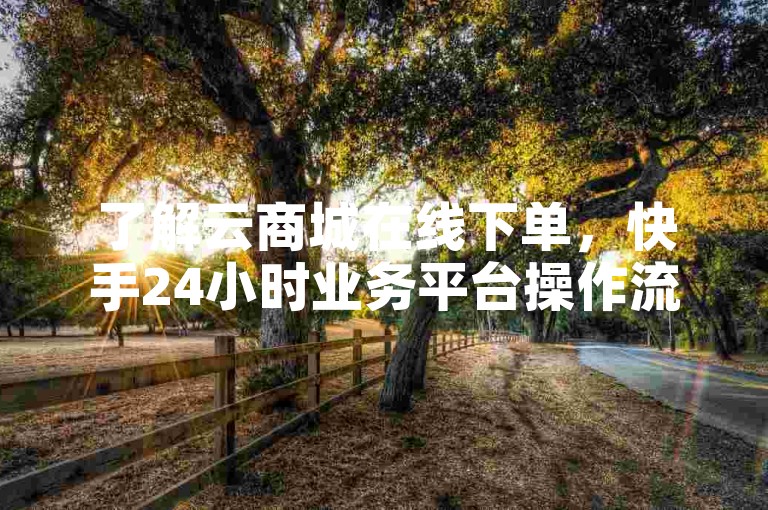 了解云商城在线下单，快手24小时业务平台操作流程。