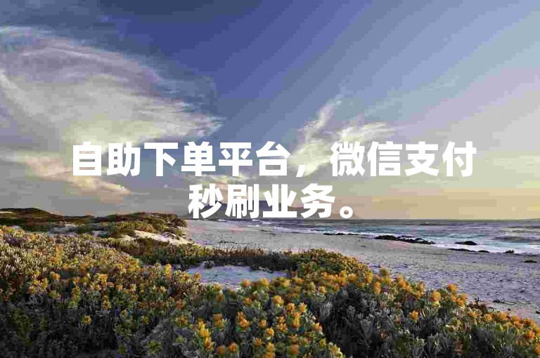 自助下单平台，微信支付秒刷业务。