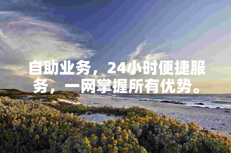 自助业务，24小时便捷服务，一网掌握所有优势。