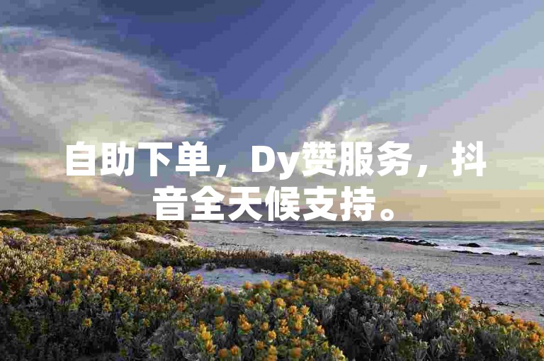 自助下单，Dy赞服务，抖音全天候支持。
