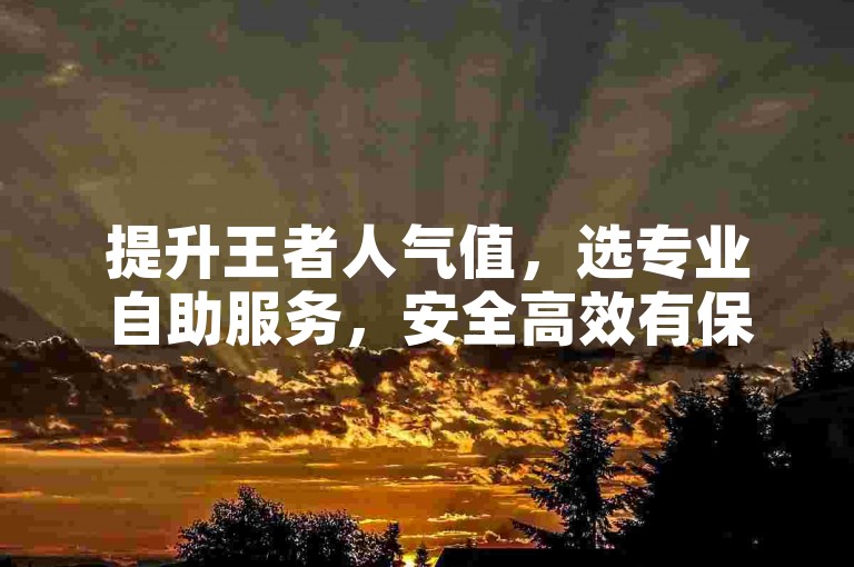 提升王者人气值，选专业自助服务，安全高效有保障。