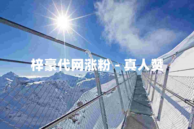 梓豪代网涨粉 - 真人赞50个自助下单
