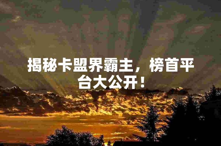 揭秘卡盟界霸主，榜首平台大公开！