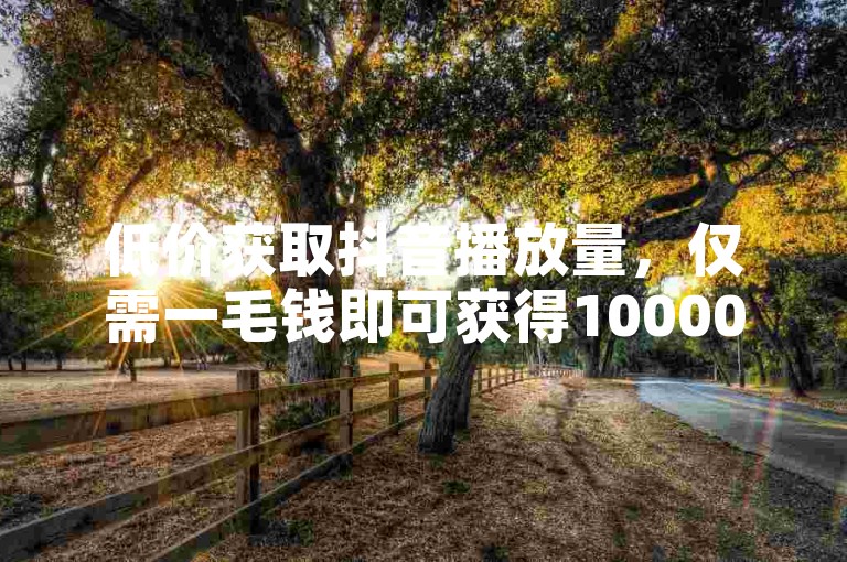 低价获取抖音播放量，仅需一毛钱即可获得10000次曝光。