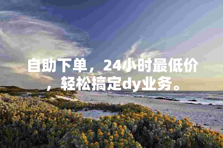 自助下单，24小时最低价，轻松搞定dy业务。