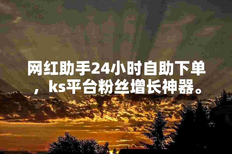 网红助手24小时自助下单，ks平台粉丝增长神器。