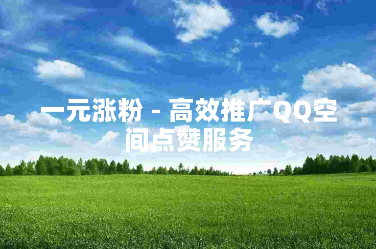 一元涨粉 - 高效推广QQ空间点赞服务