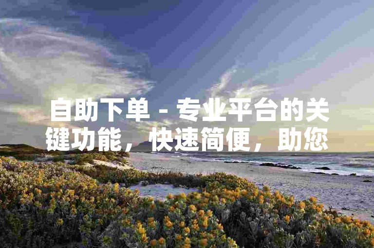 自助下单 - 专业平台的关键功能，快速简便，助您轻松自助下单的顶级服务！新手必备！