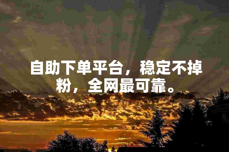 自助下单平台，稳定不掉粉，全网最可靠。