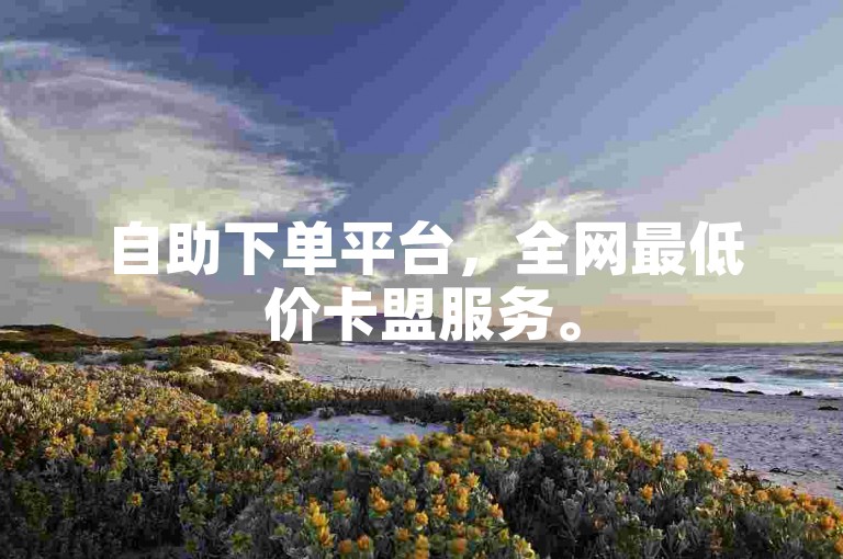 自助下单平台，全网最低价卡盟服务。