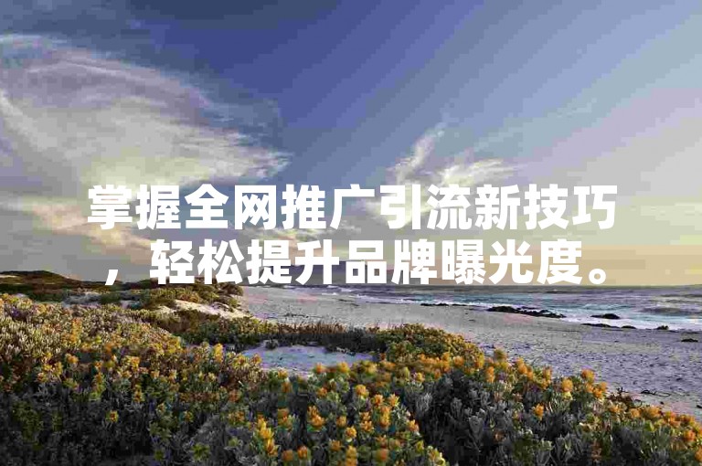 掌握全网推广引流新技巧，轻松提升品牌曝光度。