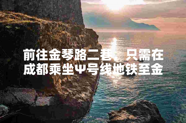 前往金琴路二巷，只需在成都乘坐Ψ号线地铁至金琴路站即可轻松抵达。