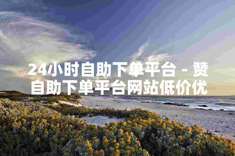 24小时自助下单平台 - 赞自助下单平台网站低价优惠