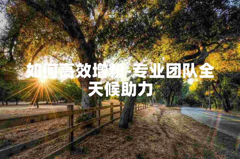 如何高效增粉-专业团队全天候助力