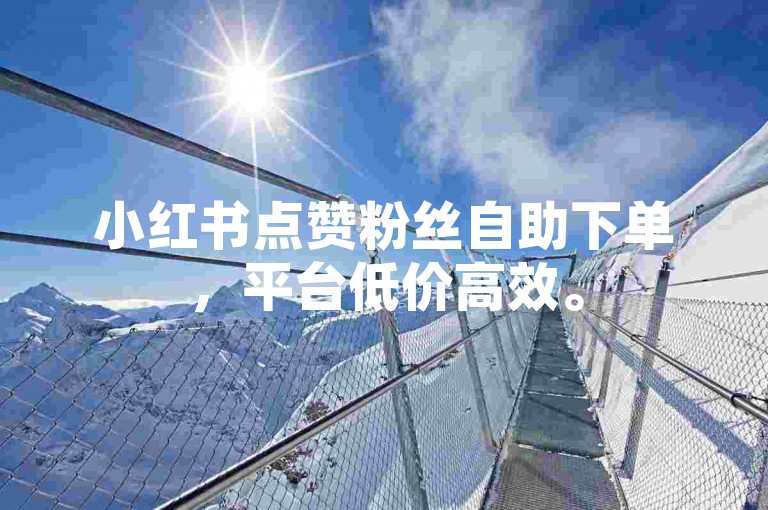 小红书点赞粉丝自助下单，平台低价高效。