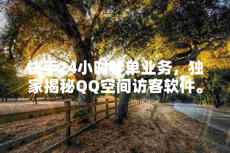 快手24小时秒单业务，独家揭秘QQ空间访客软件。
