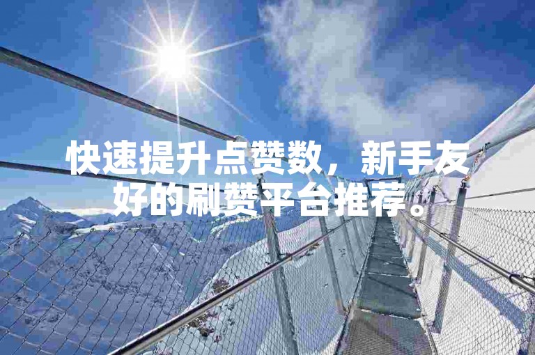 快速提升点赞数，新手友好的刷赞平台推荐。