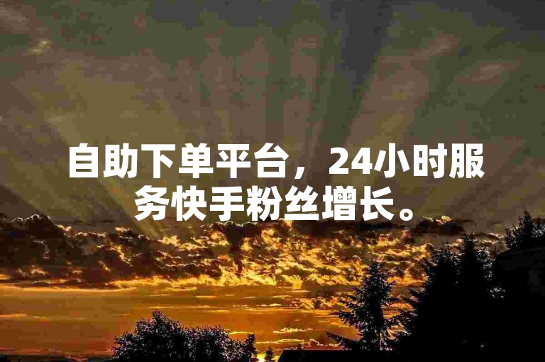 自助下单平台，24小时服务快手粉丝增长。