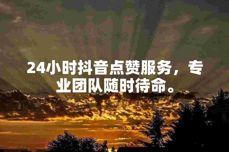 24小时抖音点赞服务，专业团队随时待命。