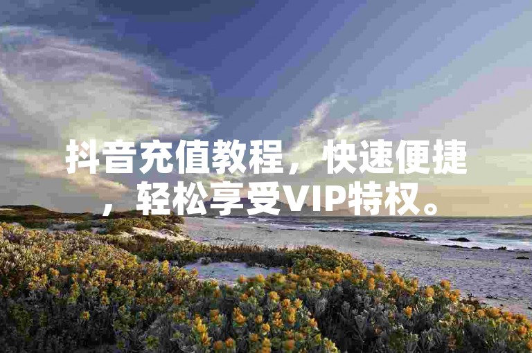 抖音充值教程，快速便捷，轻松享受VIP特权。