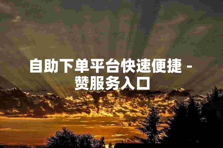 自助下单平台快速便捷 - 赞服务入口