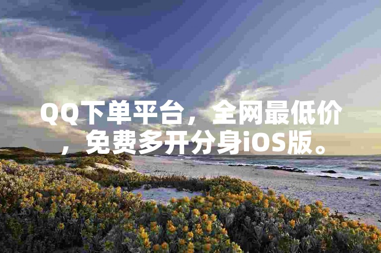 QQ下单平台，全网最低价，免费多开分身iOS版。