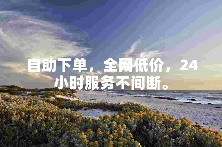 自助下单，全网低价，24小时服务不间断。