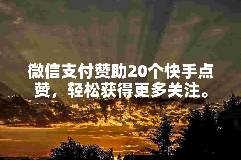 微信支付赞助20个快手点赞，轻松获得更多关注。