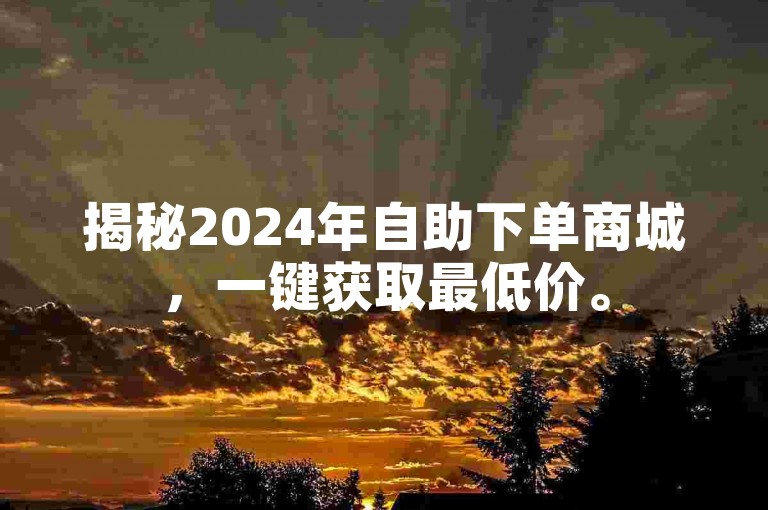 揭秘2024年自助下单商城，一键获取最低价。