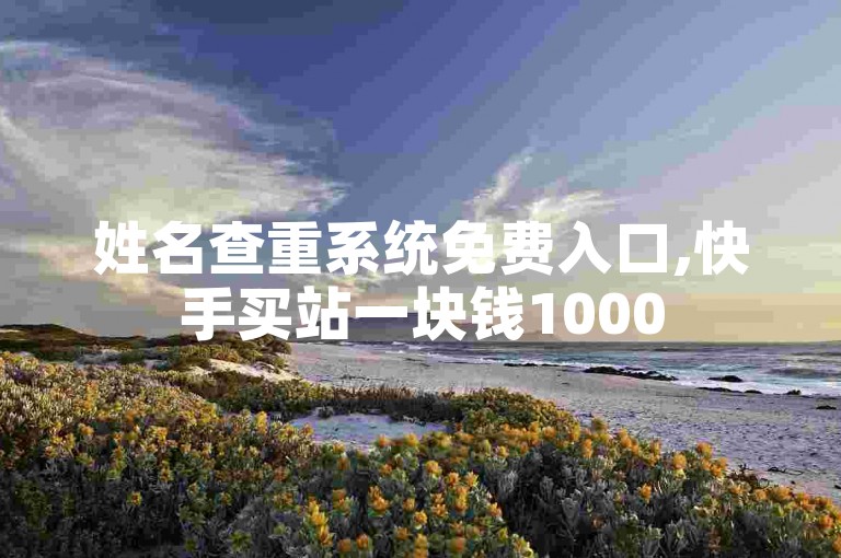 姓名查重系统免费入口,快手买站一块钱1000