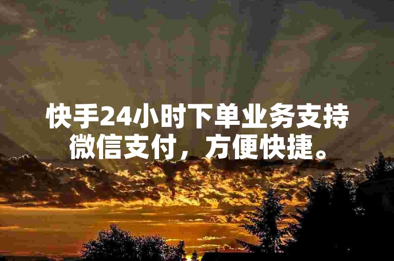 快手24小时下单业务支持微信支付，方便快捷。