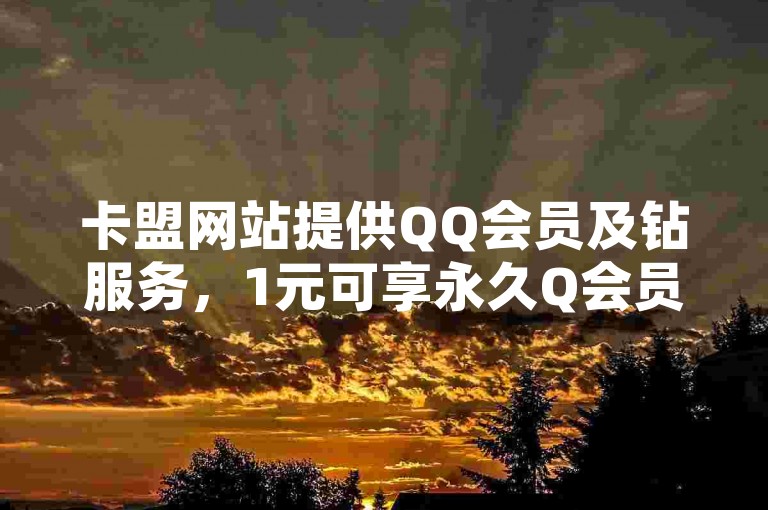 卡盟网站提供QQ会员及钻服务，1元可享永久Q会员。