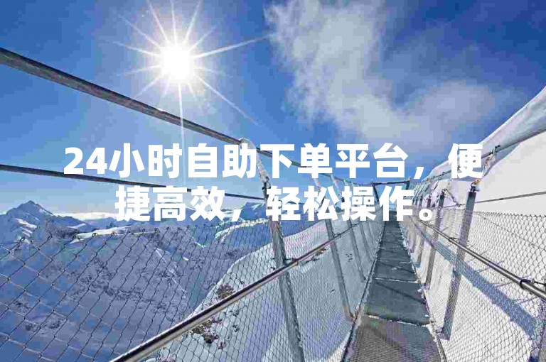 24小时自助下单平台，便捷高效，轻松操作。