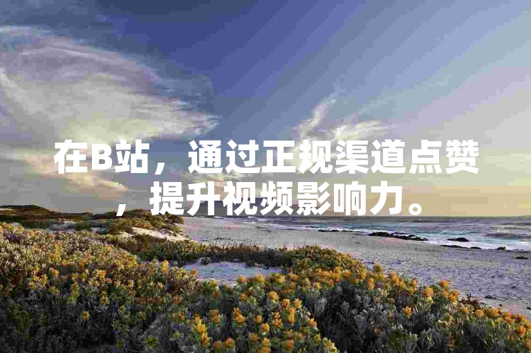 在B站，通过正规渠道点赞，提升视频影响力。