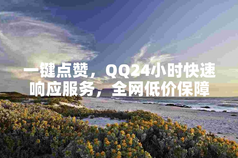 一键点赞，QQ24小时快速响应服务，全网低价保障。