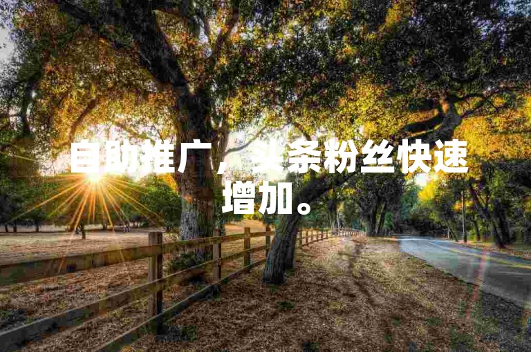 自助推广，头条粉丝快速增加。