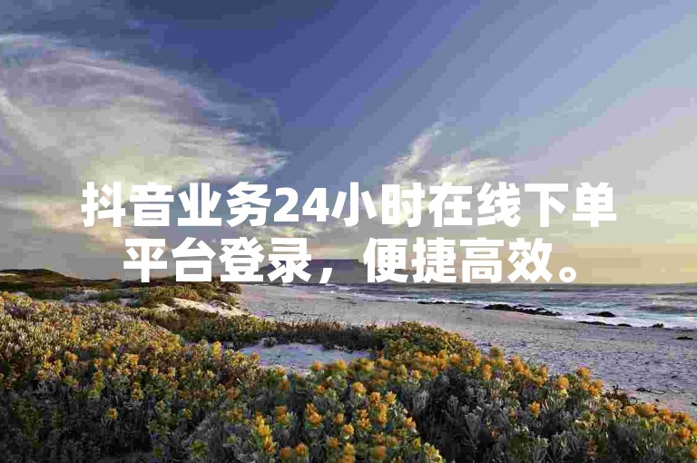 抖音业务24小时在线下单平台登录，便捷高效。