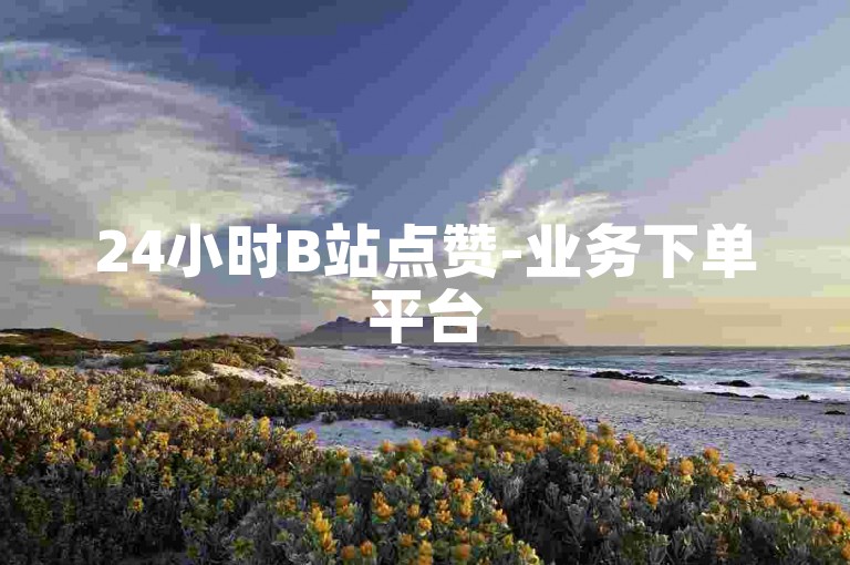 24小时B站点赞-业务下单平台