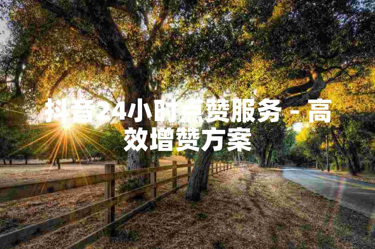 抖音24小时点赞服务 - 高效增赞方案
