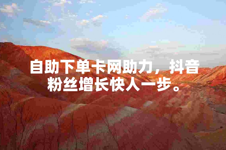 自助下单卡网助力，抖音粉丝增长快人一步。