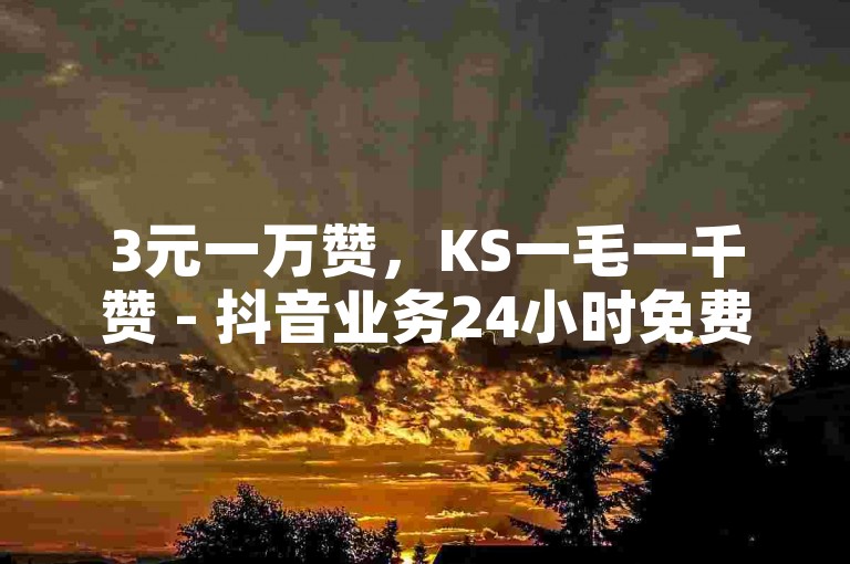 3元一万赞，KS一毛一千赞 - 抖音业务24小时免费下单平台 - 博雅和榜一大哥一直叫