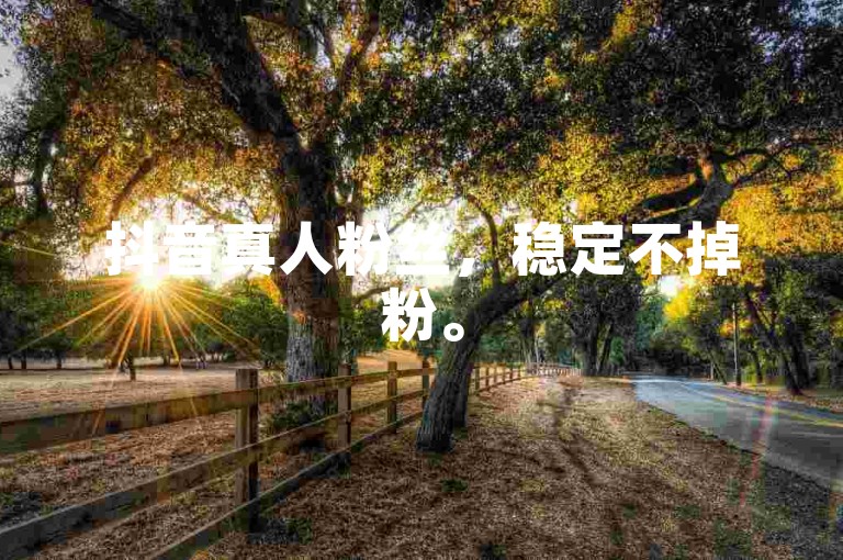 抖音真人粉丝，稳定不掉粉。