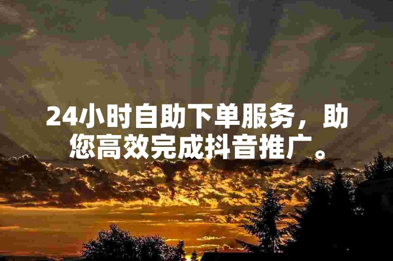 24小时自助下单服务，助您高效完成抖音推广。