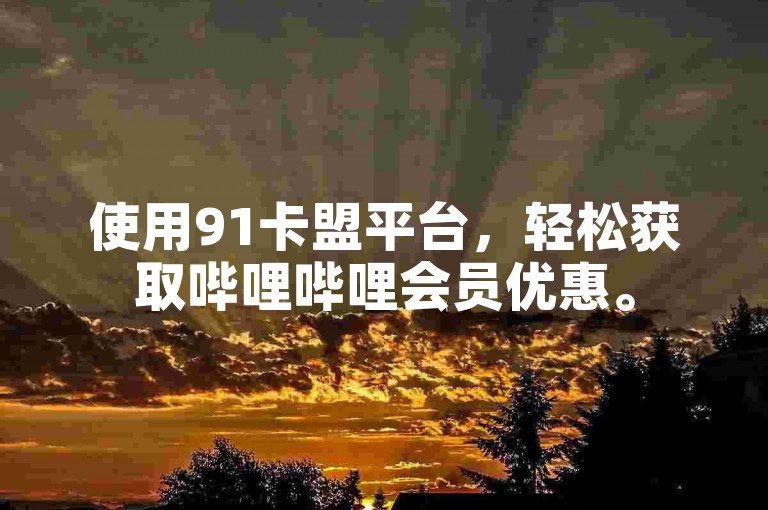 使用91卡盟平台，轻松获取哔哩哔哩会员优惠。