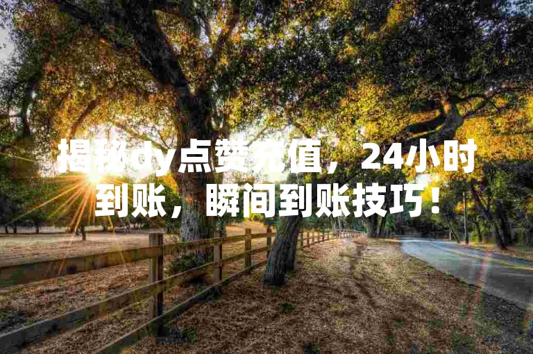 揭秘dy点赞充值，24小时到账，瞬间到账技巧！